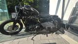 Harley-Davidson XL 1200N Nightster  - Offers matching your search criteria