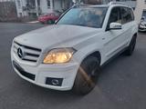 Mercedes-Benz GLK 200 CDI BlueEFFICIENCY - - Mercedes-Benz GLK 200 von privat