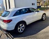 Mercedes-Benz  GLC 250 4MATIC Exclusive | Panorama | 83tkm  - Mercedes-Benz GLC 250 Gebrauchtwagen in Berlin