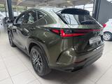 Lexus NX 450h+ Executive 360KAM.Plug in, Allrad, LEDER - Lexus: L
