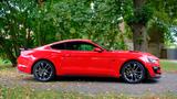 Ford Mustang 2.3  Shelby gt 500 1. Jahr Garantie - Ford Mustang: Coupe, Shelby
