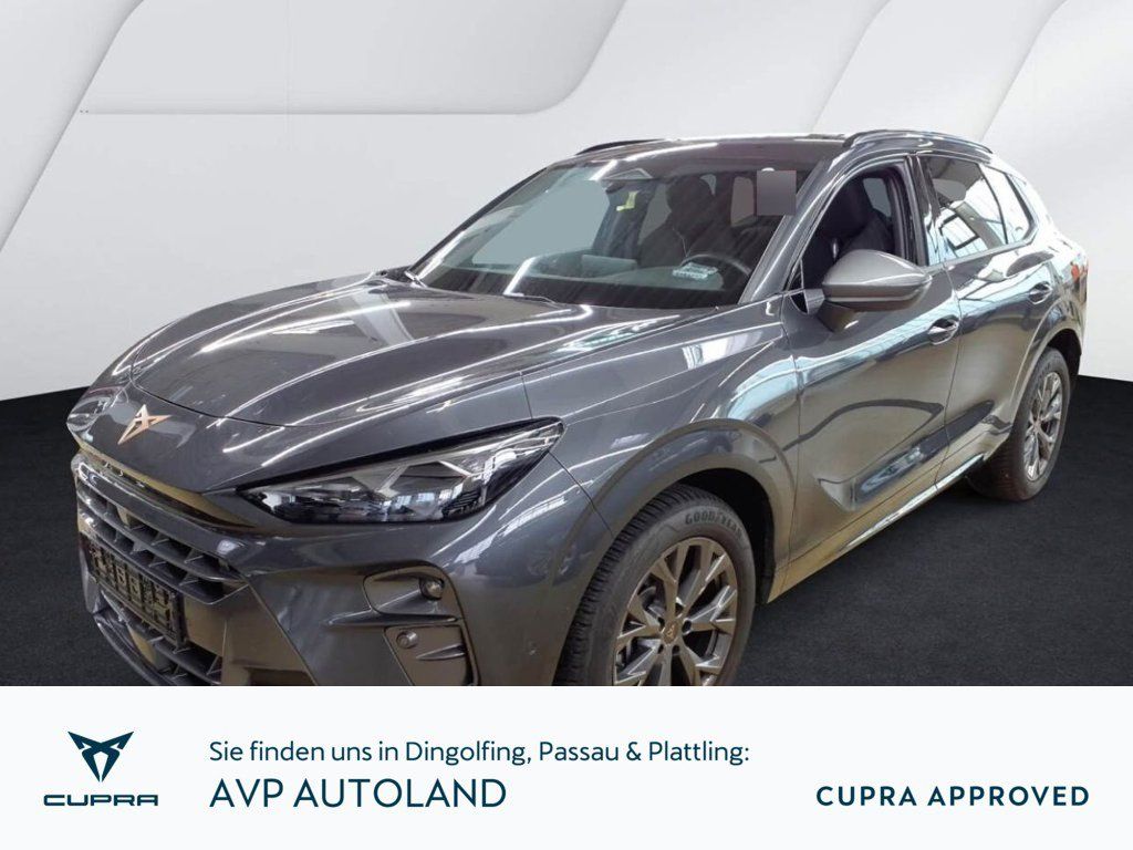 Image of Cupra Terramar