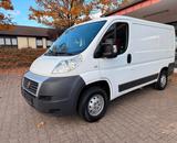 Fiat Ducato Kasten 28 115 1.Hd L1 H1 Kurz Flachdach - Fiat Ducato: 11