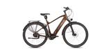 Böttcher Shark - Böttcher E-Bikes