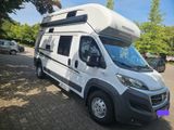 Weinsberg CARABUS 600 MQH - Angebote entsprechen deinen Suchkriterien
