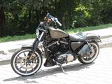 Harley-Davidson Sportster XL883N Iron 2020 Ricks - HARLEY-DAVIDSON 2 XL