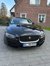 Jaguar XE Prestige Automatik Prestige 180PS