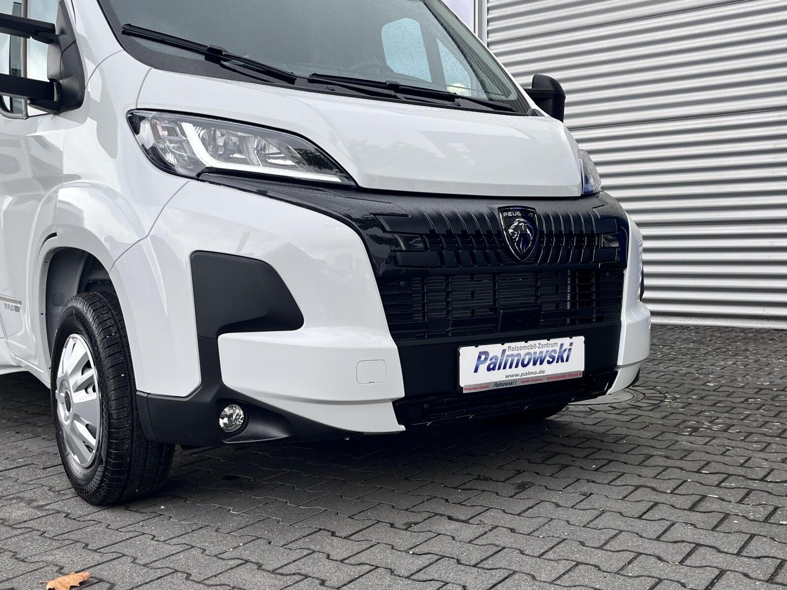 Fahrzeugabbildung XGO Dynamic 99P Modell 2027