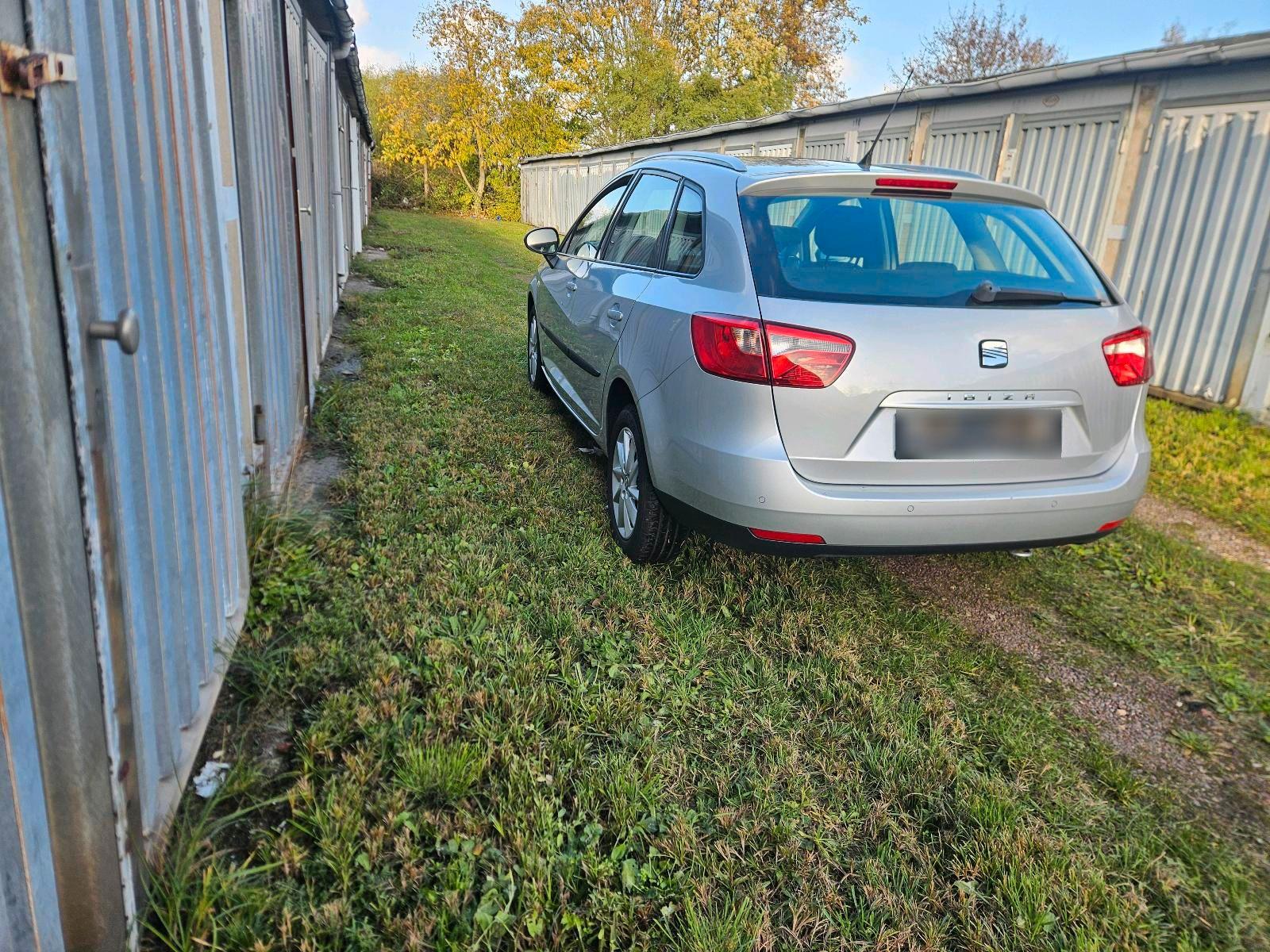 Seat Ibiza 2012 — вигляд ззаду