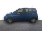 Fiat Panda City Paket DAB Spurhalteass. Verkehrszeich - Fiat Panda Jahreswagen