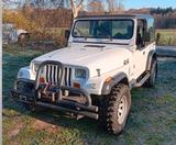 Jeep Wrangler 2.5  - gebrauchte Jeep Wrangler aus dem Jahr 1990