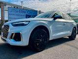 Audi Q5 Sportback 40 2.0 tdi mhev 12V S line qua - Audi: V12