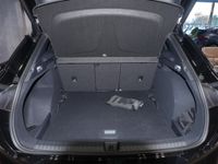 Cupra Terramar - Vorschau Bild 12