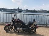 Harley-Davidson Sportster 883 Super Low - CHOPPER VON 751 BIS 1000 CCM