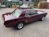 Ford Mustang, orig.A-Code, Servo, tolles Auto - Ford Mustang: Or