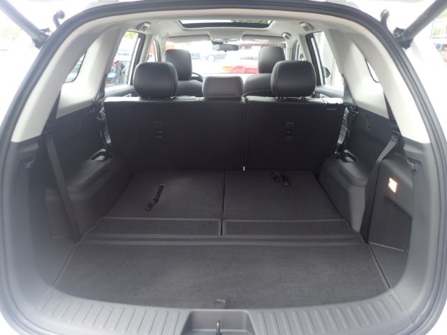 Fahrzeugabbildung DFSK Fengon 600 Premium El. Panodach digitales Cockpi