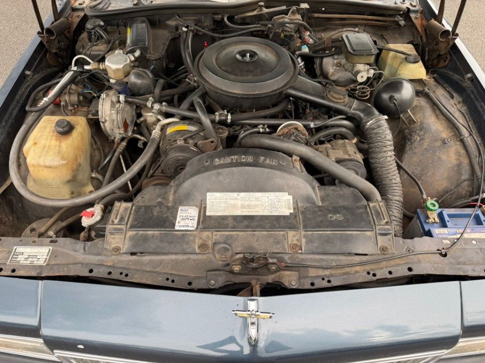 Fahrzeugabbildung Chevrolet Caprice Station Wagon LPG HU H gerade gemacht