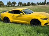Ford Mustang 2.3 EcoBoost - - : Coupe, Gelb