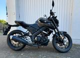 Yamaha 125 MT - YAMAHA MT125