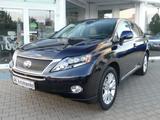 Lexus RX 450H AWD Xenon Kamera Volleder Navi Glasdach - Lexus RX-Serie Gebrauchtwagen
