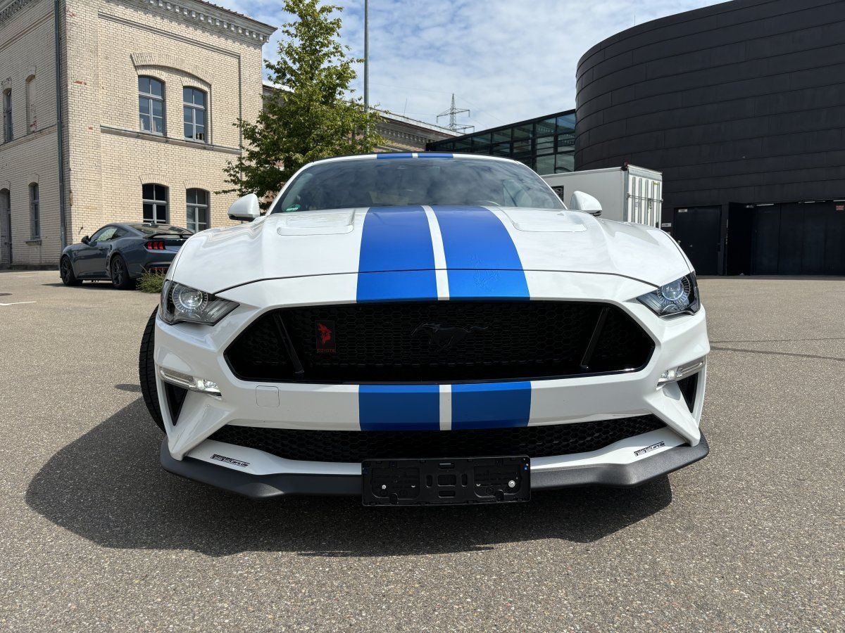 Ford Mustang (GT 5.0 Convertible Shelby-Optik/20Zoll/T)