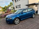 Audi A3 1.6 Sportback - Audi A3 aus 2004: Sportback