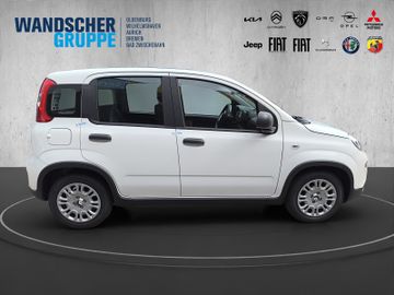 Fiat Panda 1.0 Mild Hybrid MY24 PDC TEMPOMAT SPURHALT