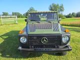 Mercedes-Benz GD 250 Wolf - Mercedes-Benz G 250: Wolf