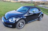 Volkswagen Beetle 1.2 TSI Cabriolet 50's, Saison, Leder - Volkswagen Beetle 5C