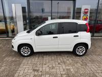 Fiat Panda 1.2 Easy Sondermodell More - Viele Extras