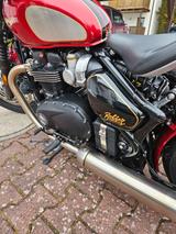 Triumph Bonneville Bobber Goldline - TRIUMPH BONNEVILLE