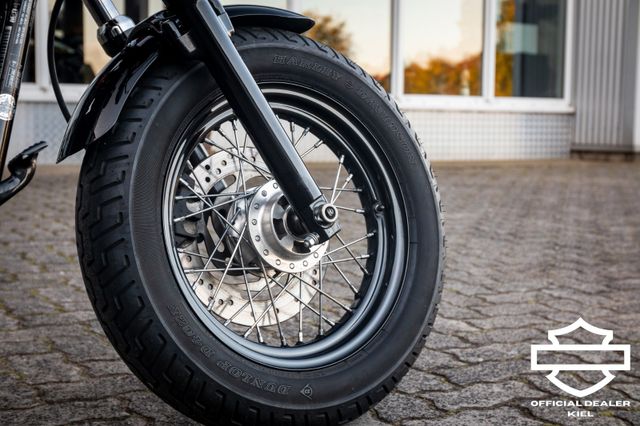 Fahrzeugabbildung Harley-Davidson XL1200X SPORTSTER FORTY-EIGHT - V&H-THORCAT