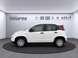Fiat Panda PANDINA Hybrid 70 PS, Allwetter, Gelato We - Fiat Panda Pandina mit Hybrid-Antrieb (Benzin/Elektro)