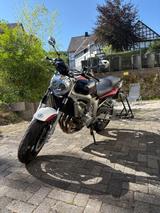 Yamaha FZ6N - YAMAHA FZ6 N