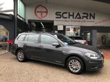 Volkswagen Golf VII Variant Trendline BlueMotion TGI - Volkswagen Golf: Trendline Bluemotion
