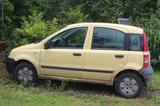Fiat FIAT PANDA  -  EZ 10/2007  -  91.000 km  -... - Fiat Panda: E10