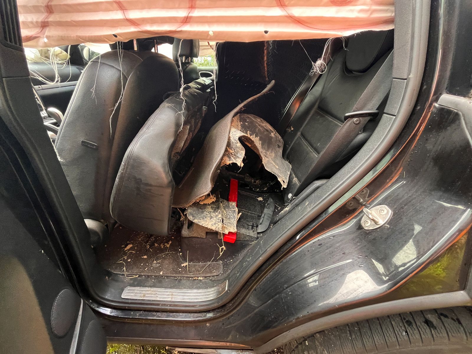 Fahrzeugabbildung Porsche Cayenne S