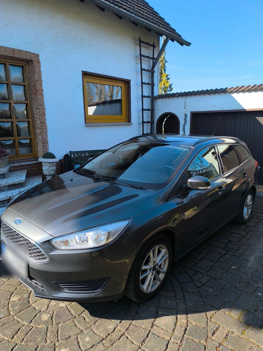Ford Focus 2015 — photo 8