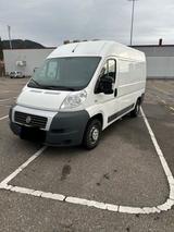 Fiat Ducato Kastenwagen L2H2/AHK Mwst - Fiat Ducato: Kastenwagen