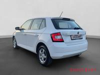 Skoda Fabia Style Green TEC 1.2TSI 8-Fach bereift