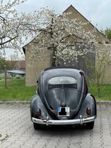 Volkswagen Käfer Ovali - Autos aus dem Jahr 1954