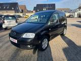 Volkswagen Caddy Life Team - Volkswagen Caddy: Team