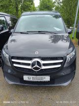 Pössl Campstar 250 d 