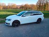 Skoda Octavia 1.6 TDI SCR DSG Ambition Combi Ambition