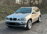 BMW E53 X5 V8 4.4LITER IS PAKET. AUTOMATIK... - BMW X5 aus 2001: 4.4