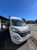 Roller Team LIV Duo Sport - Showroom Abverkauf