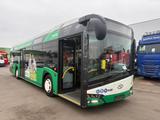 Solaris URBINO  12 - Offers