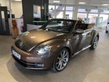 Volkswagen Beetle Cabriolet Exclusive Sport BMT - mit Benzin-Antrieb: Braun, Cabrio