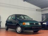 Volkswagen Polo 1.4 Classic/TÜV Neu - Volkswagen Polo: Classic