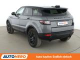 Land Rover Evoque 2.0 Sd4 SE Aut.*NAVI*CAM*PANO*PDC*SHZ*LHZ - Land Rover Gebrauchtwagen von 2019